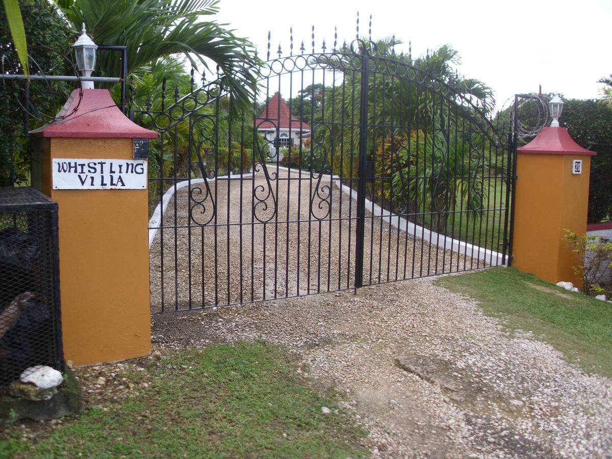 Whistling Villa Runaway Bay Dış mekan fotoğraf